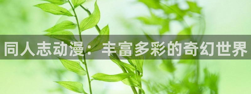 漫蛙动画