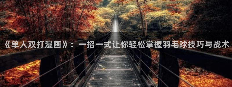 漫蛙怎么登录邮箱