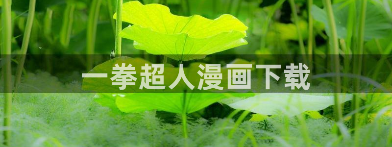 漫蛙官方网站