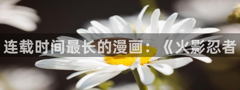 漫蛙漫画官网下载
