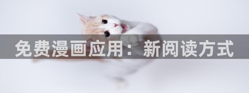 漫蛙网站官网