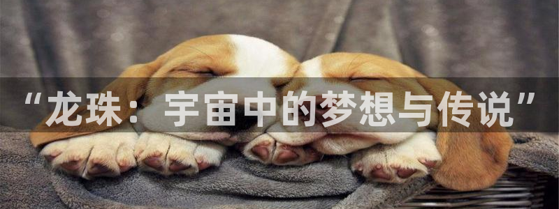 漫蛙有