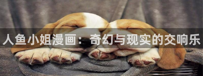 漫蛙漫画怎么下载漫画