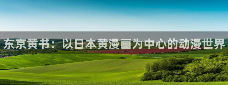 漫蛙非零和博弈