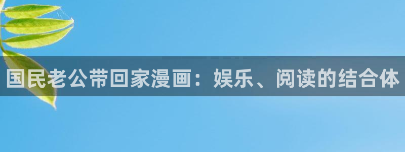 漫蛙官网网站