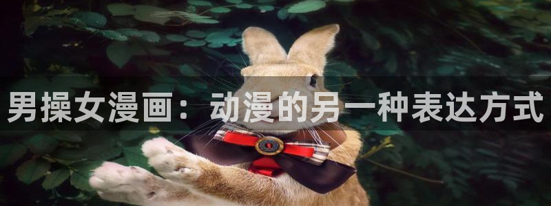 漫蛙漫画网页版免费漫画入口