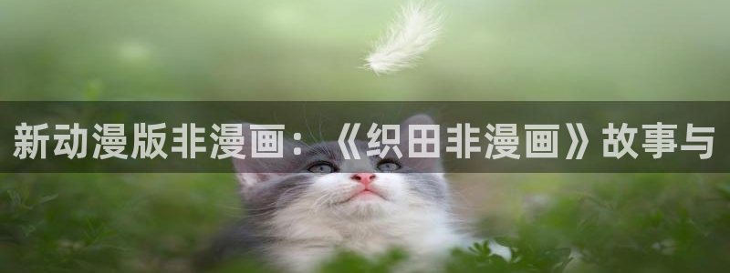 漫蛙2最新版本下载