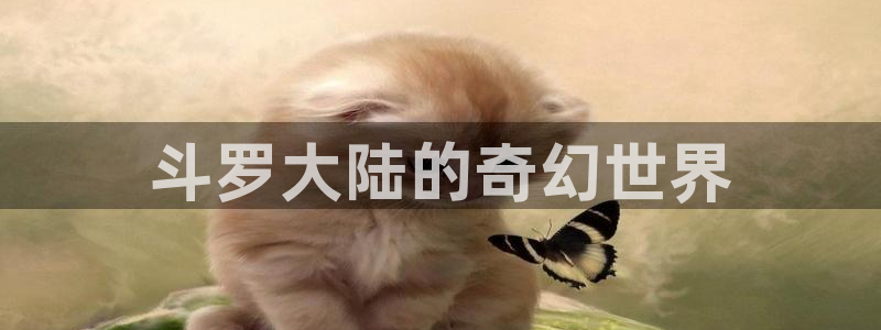 漫蛙漫画免费漫画网站入口