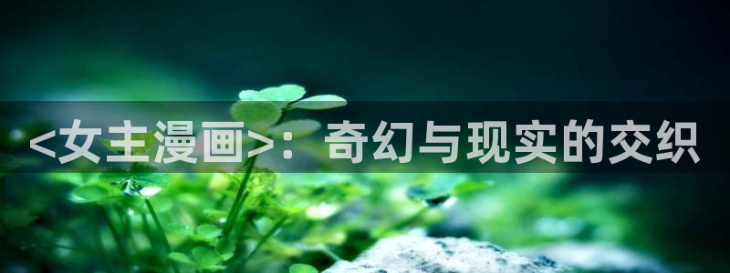 漫蛙漫画3(网页入口)
