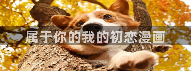 漫蛙在线下载