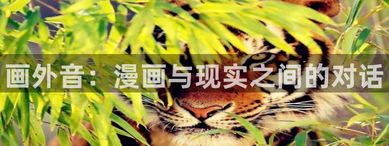 漫蛙无根之树台版