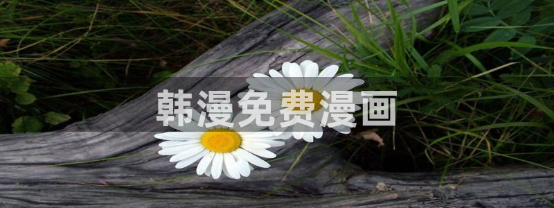 漫蛙正版下载入口台版