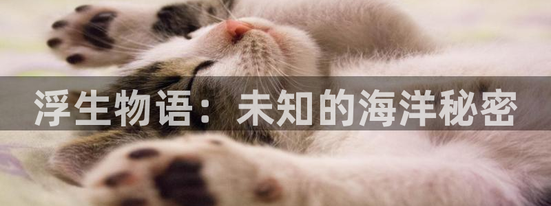 漫蛙老版：浮生物语：未知的海洋秘密