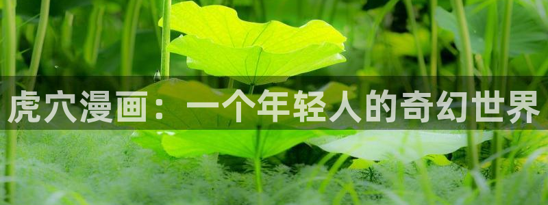 最新漫蛙漫画app下载安装：虎穴漫画：一个年轻人的奇幻世界