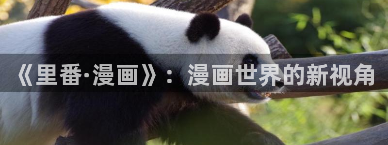 漫蛙链接怎么下载：《里番·漫画》：漫画世界的新视角