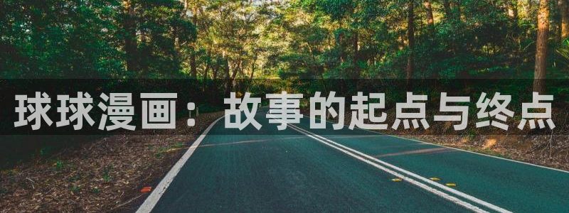 漫蛙2正版免费下载：球球漫画：故事的起点与终点