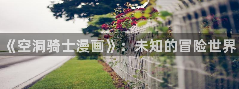 漫蛙网页入口(2025)：《空洞骑士漫画》：未知的冒险世界